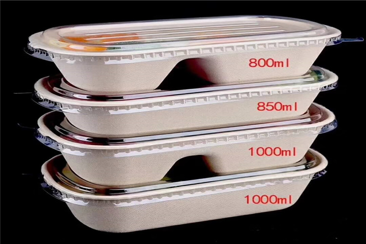 Biodegradable molded pulp containers for hot food packaging
