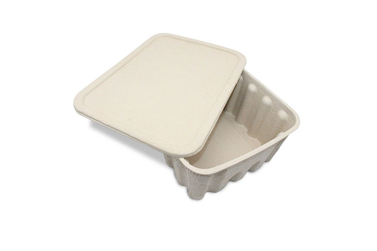 Biodegradable molded pulp containers for hot food packaging - Bonitopak