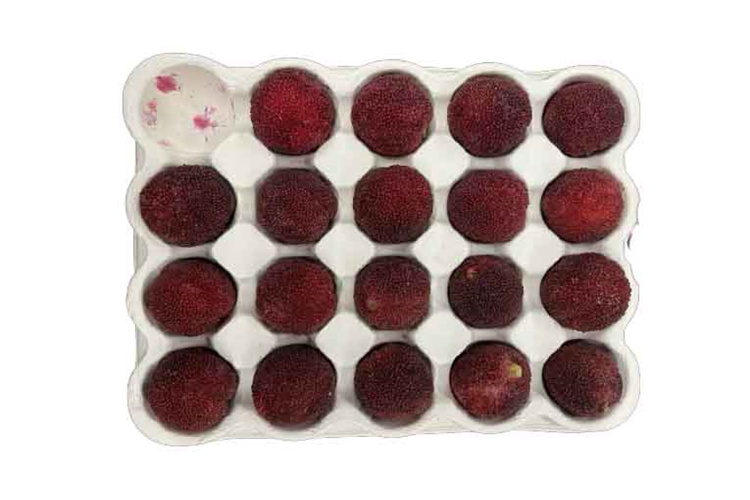 red bayberry fruit moulded pulp trays