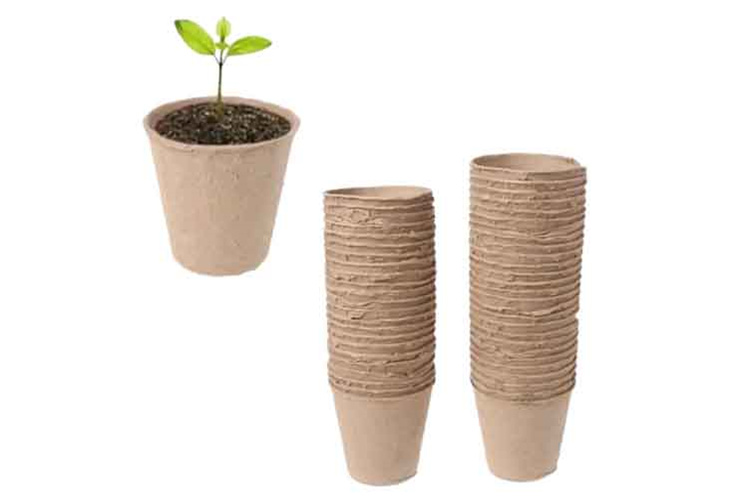 seed plant pots paper