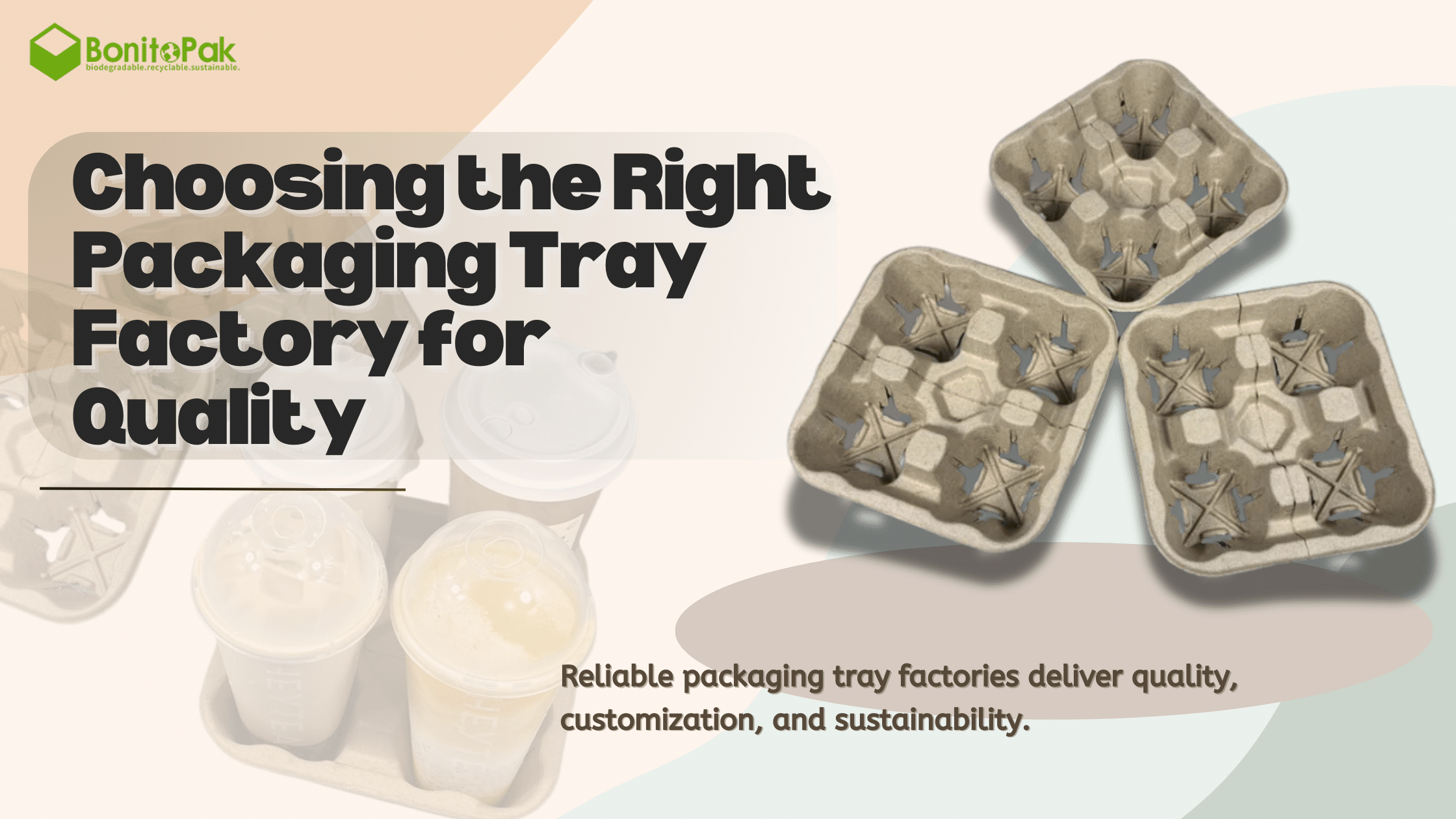 packaging tray factory