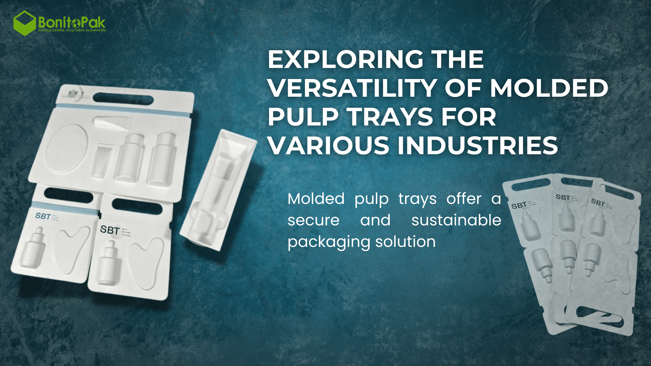 molded pulp tray manufacturer