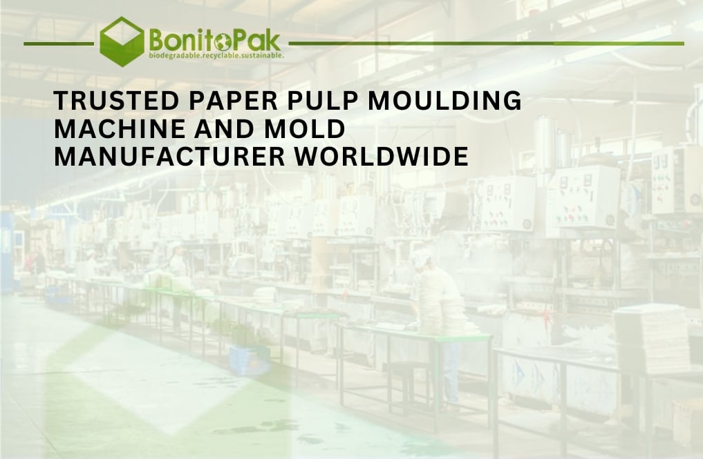 Paper Pulp Moulding Machine