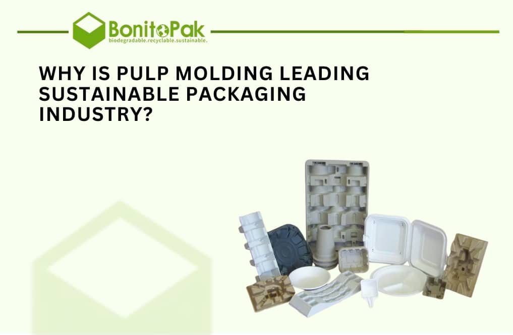 pulp molding