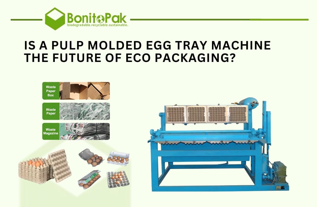 Is a Pulp Molded Egg Tray Machine the Future of Eco Packaging?