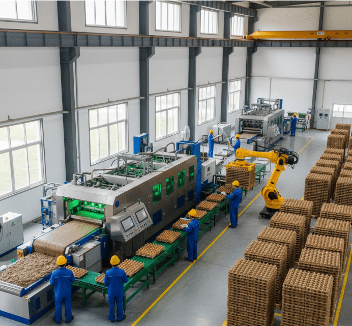 Egg tray paper pulp molding machine