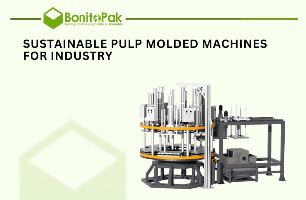 Sustainable Pulp Molded Machines for Industry