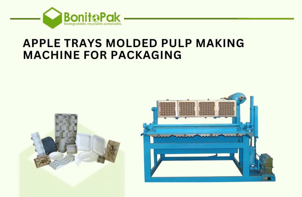 What to Consider Before Investing in Pulp Molding Machinery?