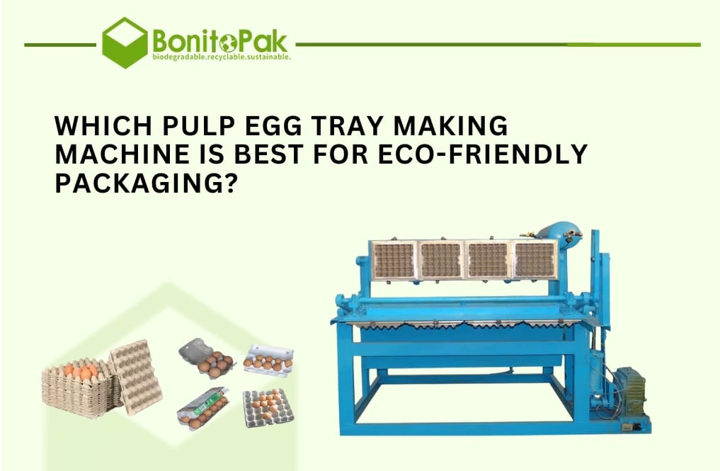 pulp egg tray making machine