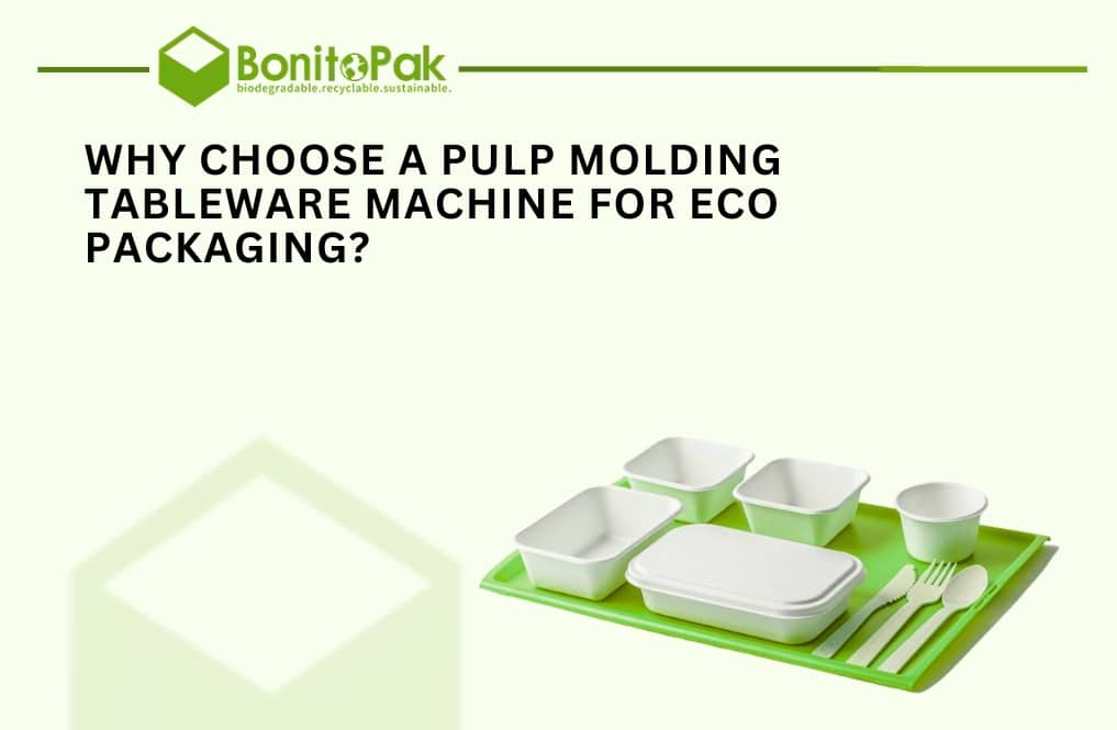 Why Choose a Pulp Molding Tableware Machine for Eco Packaging?