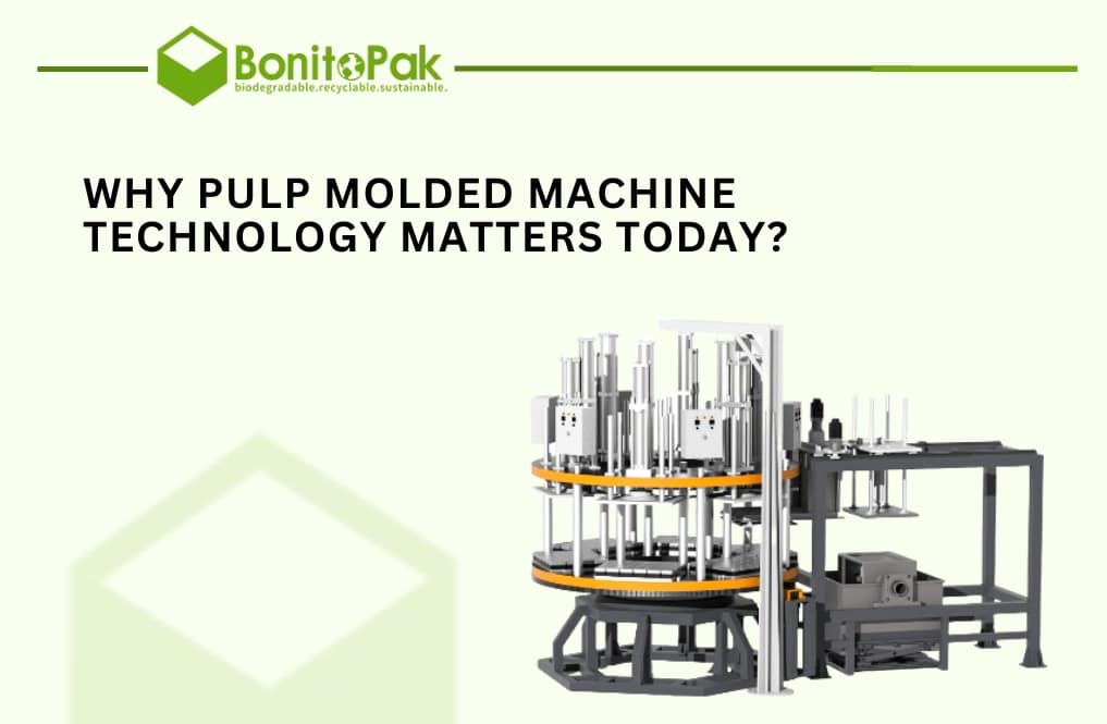 pulp molded machine