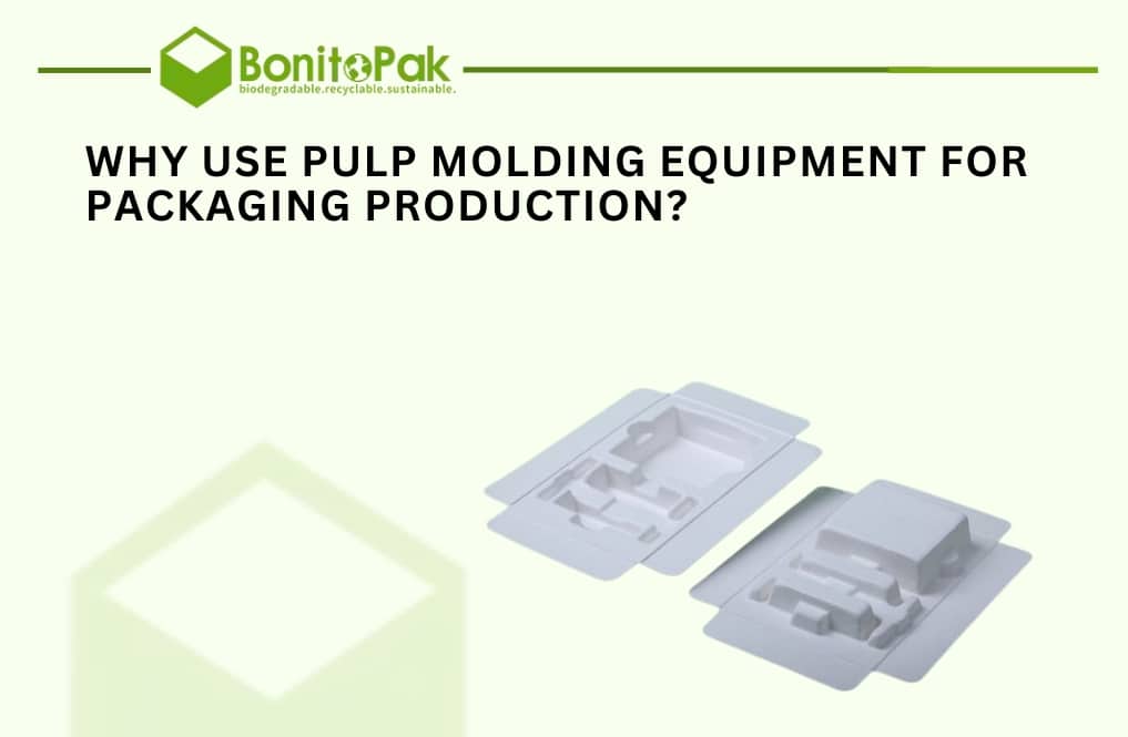 Why Use Pulp Molding Equipment for Packaging Production?