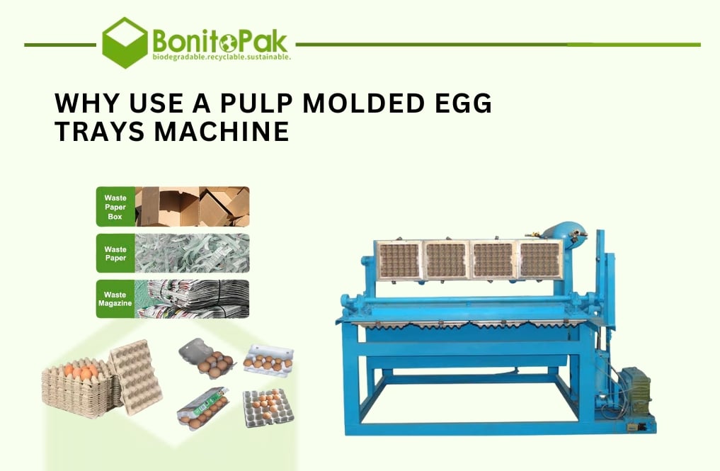 Why Use a Pulp Molded Egg Trays Machine