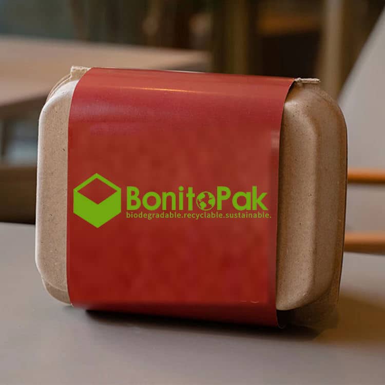 Custom Biodegradable Bagasse Pulp Soap Box