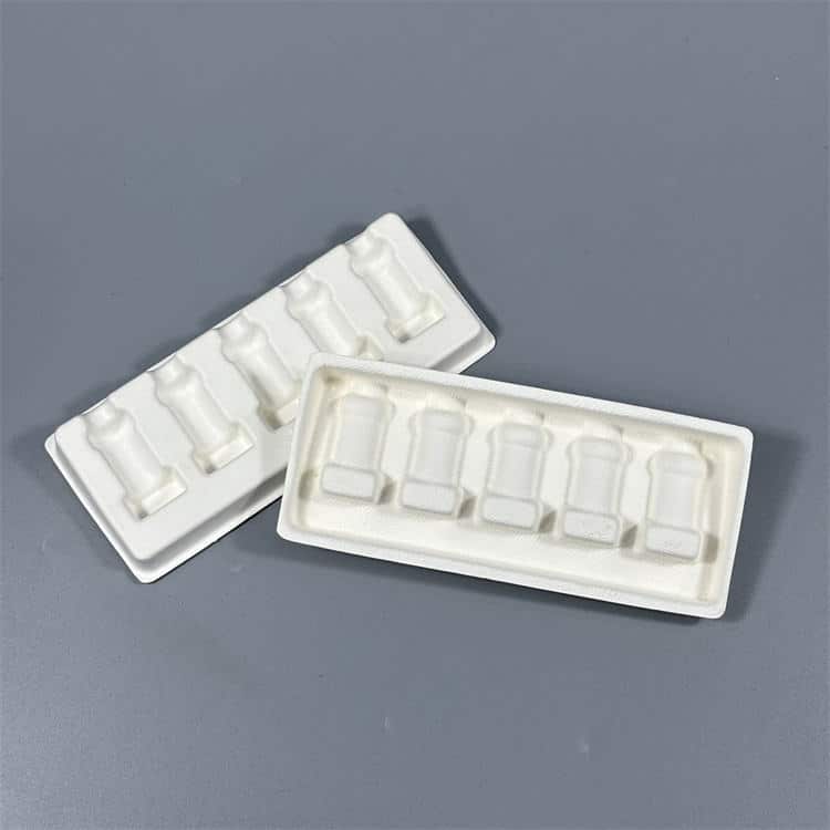 Biologisch abbaubarer Bagasse-Papierbrei Tablettform