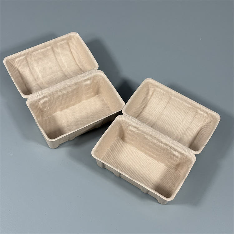 Custom Color Biodegradable Pulp Packaging Box