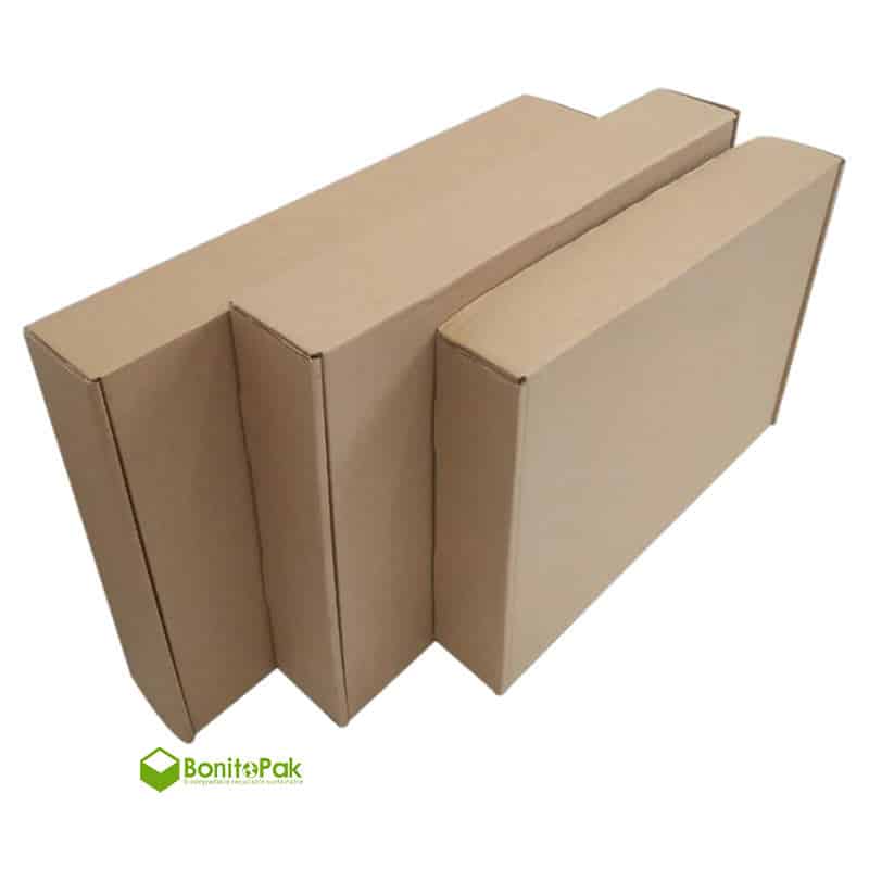 Custom Kraft Mailer Boxes
