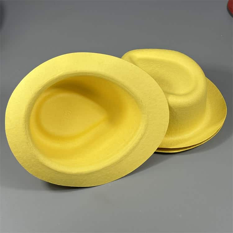 Biodegradable Childrens Paintable Pulp Hat