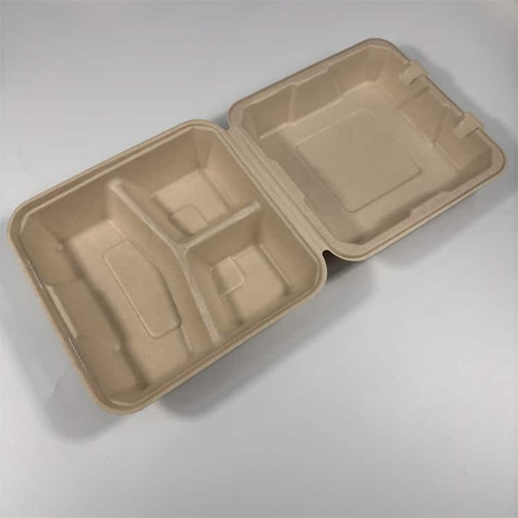 8" 3-Kammer Bagasse Clamshell