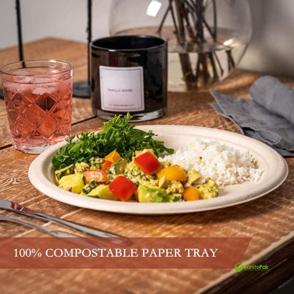 9-Inch Compostable Bagasse Plates