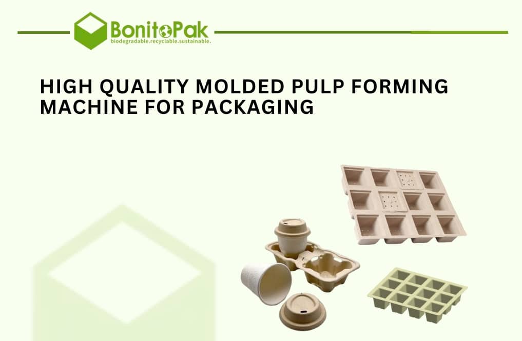 High Quality Molded Pulp Forming Machine for Packaging