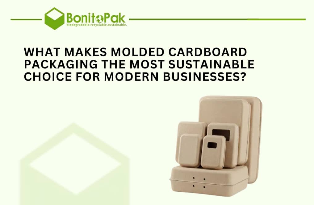 What Makes Molded Cardboard Packaging the Most Sustainable Choice for Modern Businesses?