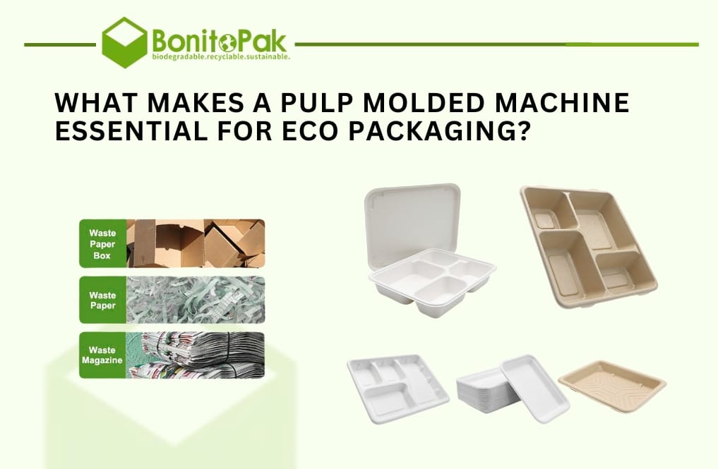 What Makes a Pulp Molded Machine Essential for Eco Packaging?