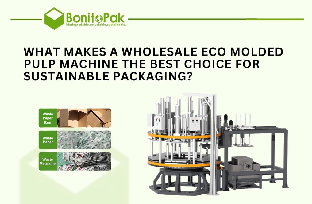 What Makes a Wholesale Eco Molded Pulp Machine the Best Choice for Sustainable Packaging?