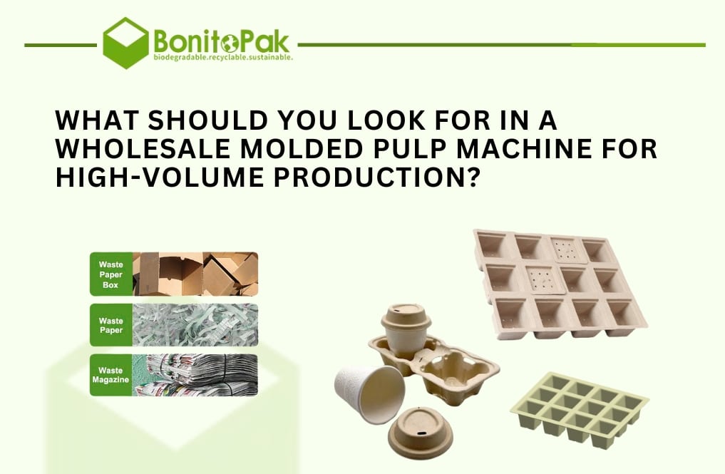 What Should You Look for in a Wholesale Molded Pulp Machine for High-Volume Production?