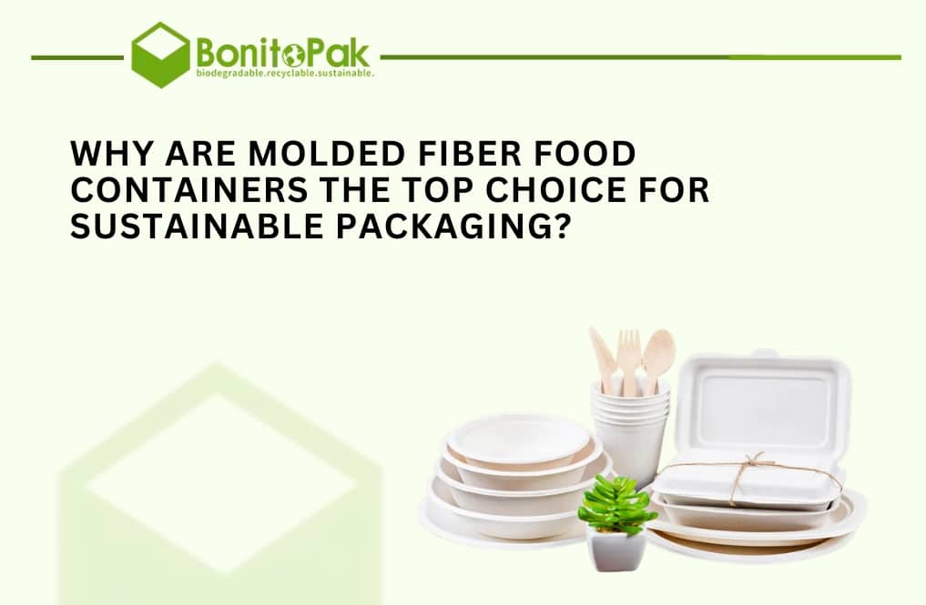Why Are Molded Fiber Food Containers the Top Choice for Sustainable Packaging