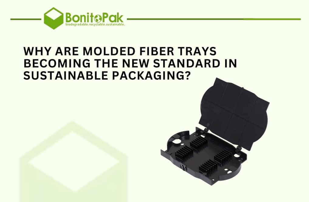Why Are Molded Fiber Trays Becoming the New Standard in Sustainable Packaging?