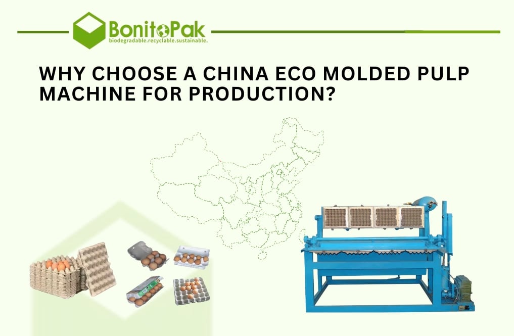Why Choose a China Eco Molded Pulp Machine for Production?