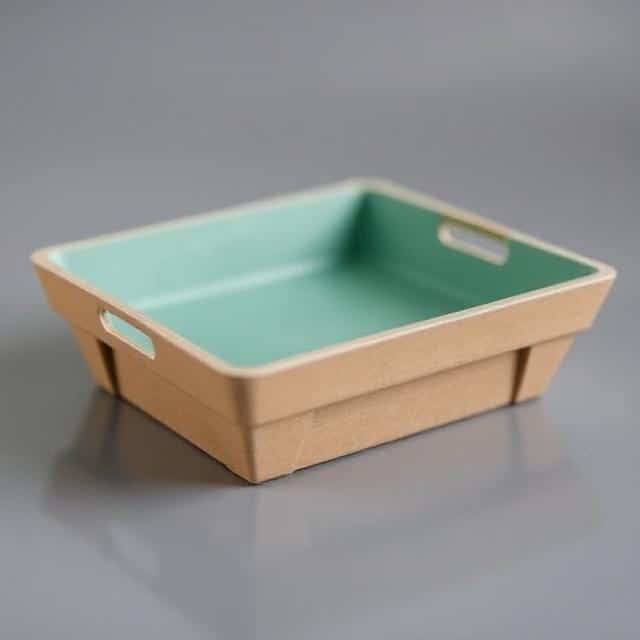 Pulp Tray for Packaging