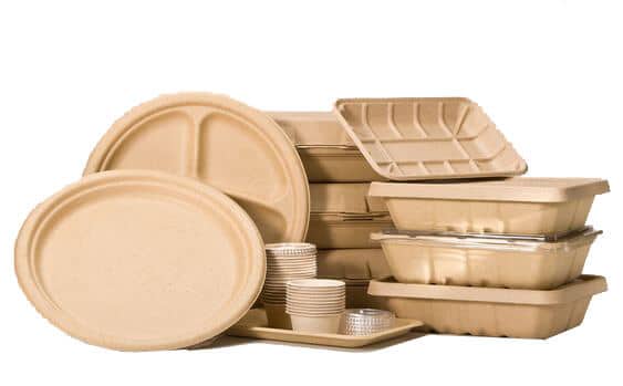 Pulp Packaging Manufacturer