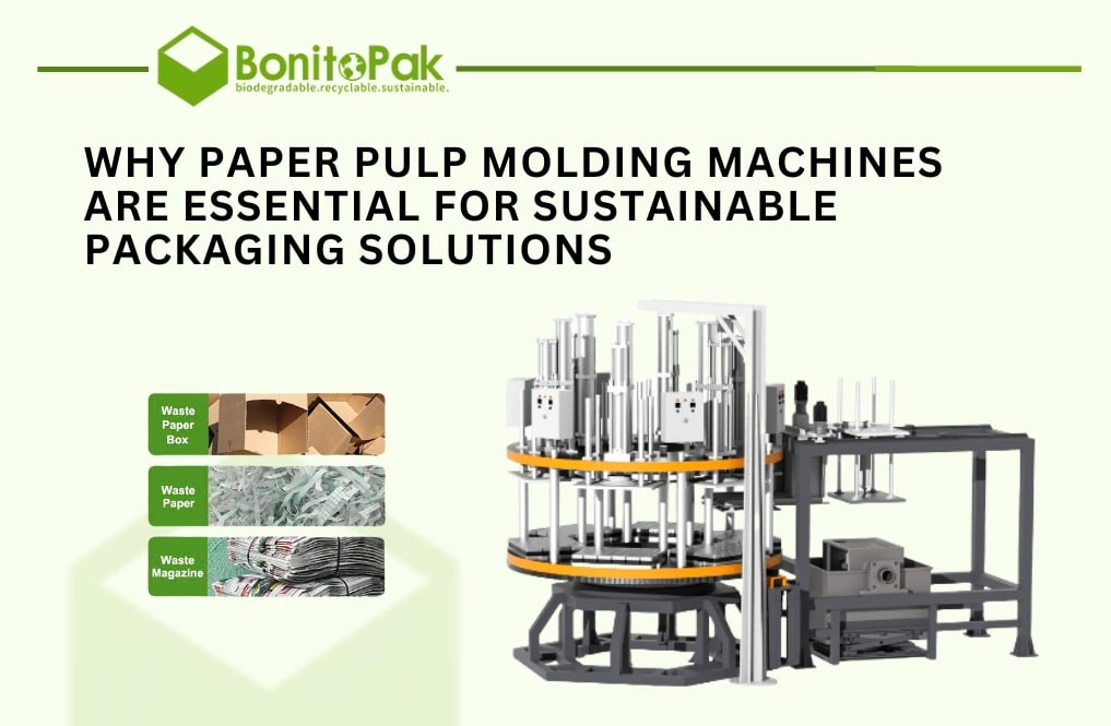 Why Paper Pulp Molding Machines Are Essential for Sustainable Packaging Solutions