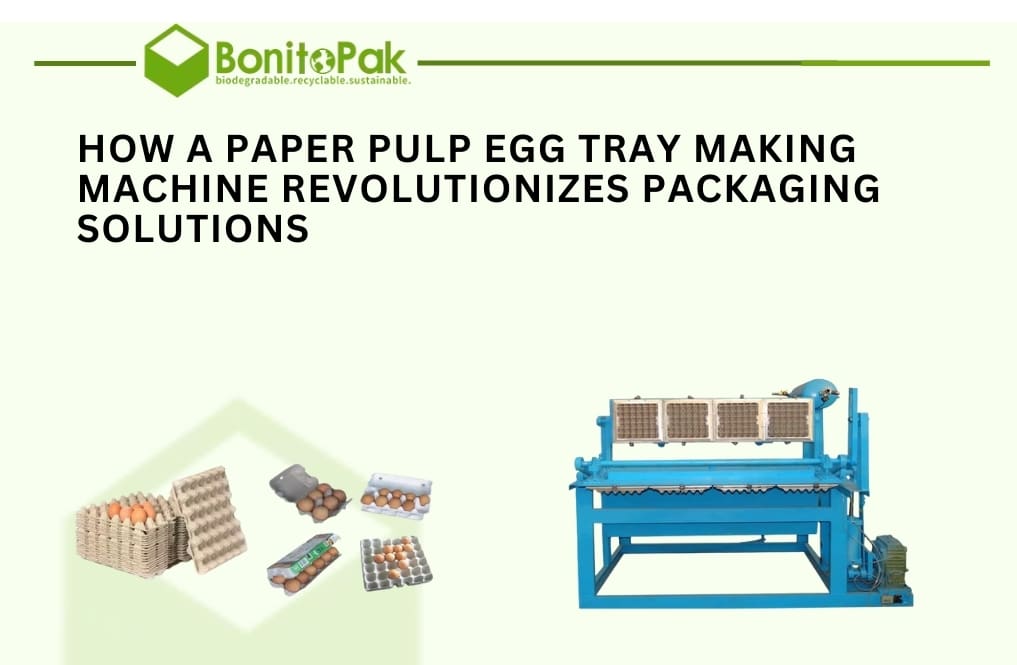 Paper Pulp Egg Tray Making Machine