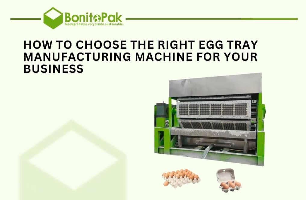 Egg Tray Manufacturing Machine