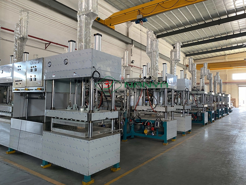 Guía completa del proceso y los equipos de la pasta moldeada