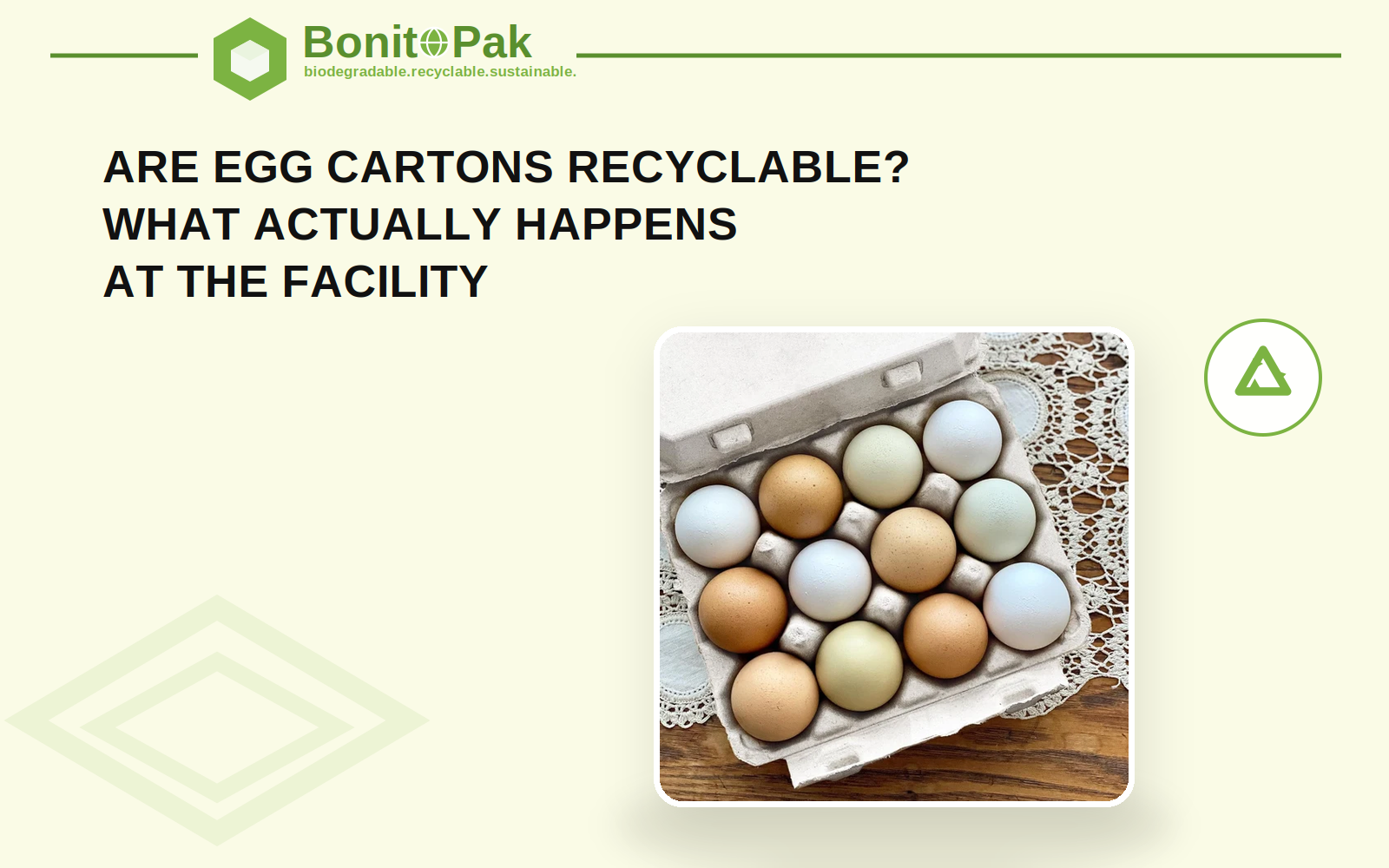 Egg Cartons Recyclable