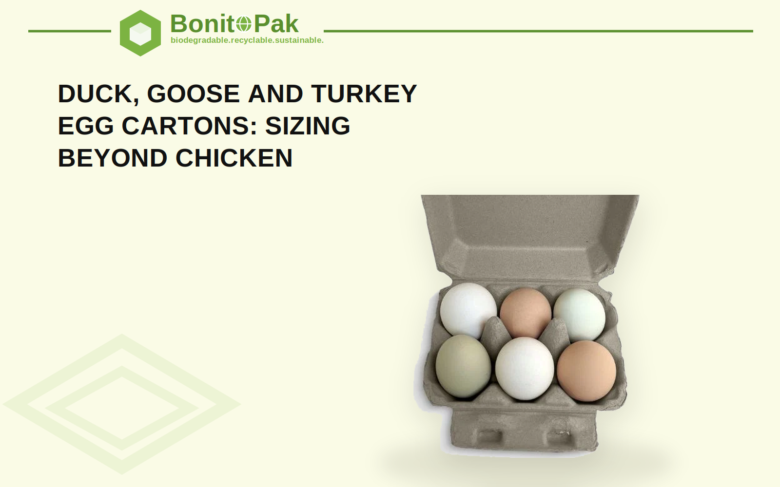 Duck, Goose and Turkey Egg Cartons