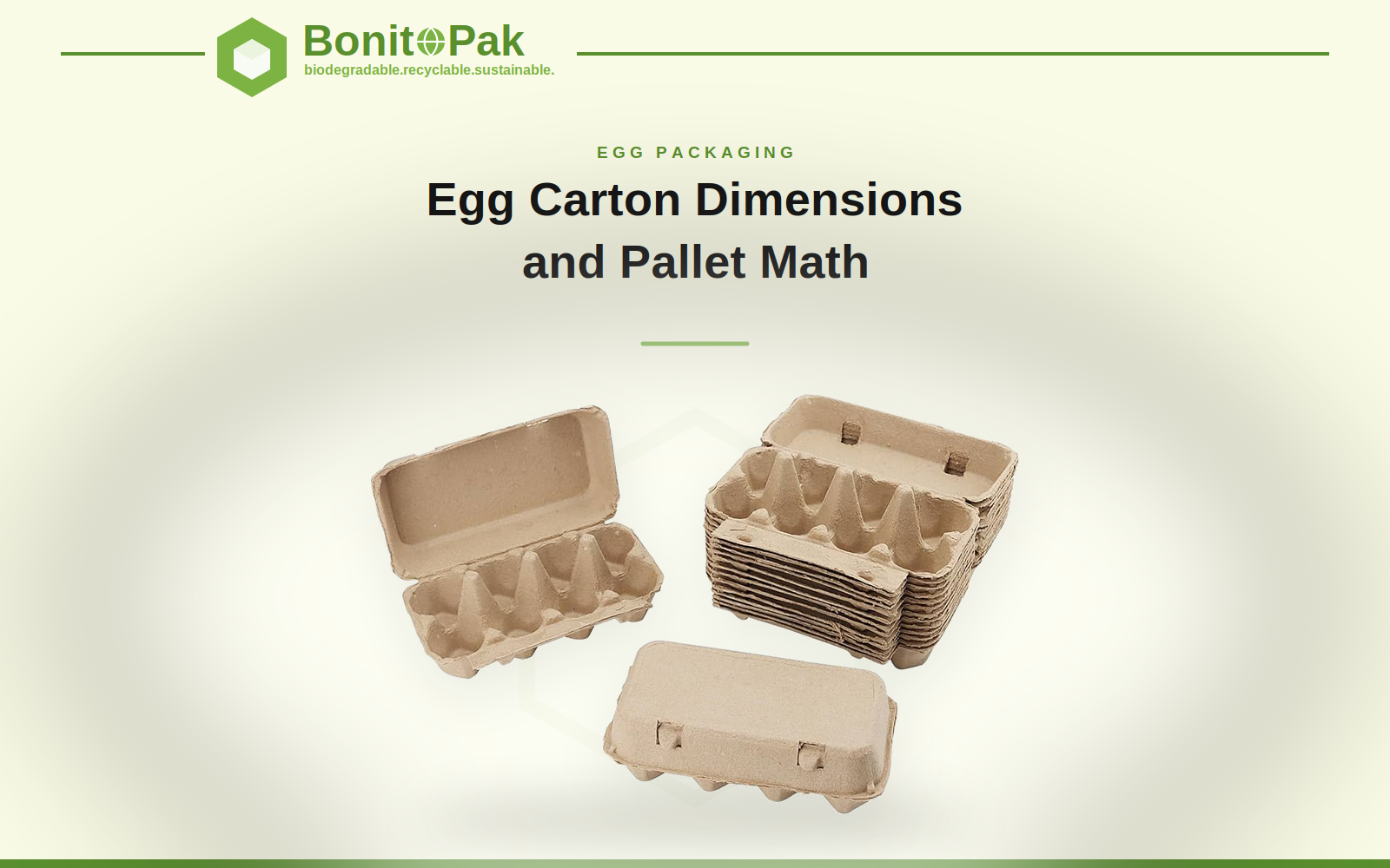 Egg Carton Dimensions