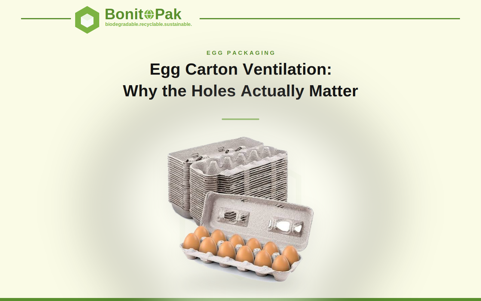 Egg Carton Ventilation