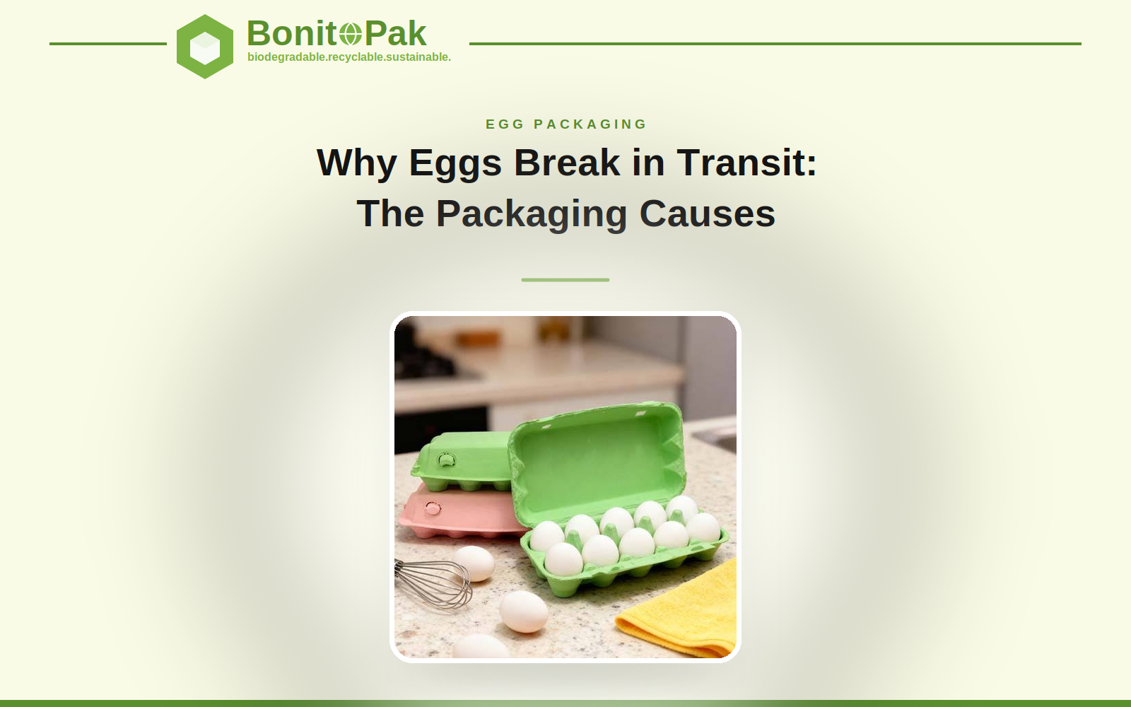 Eggs Break in Transit