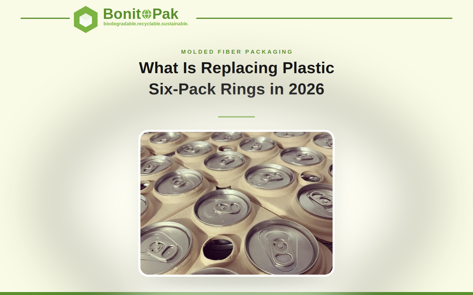 Replacing Plastic Six-Pack Rings