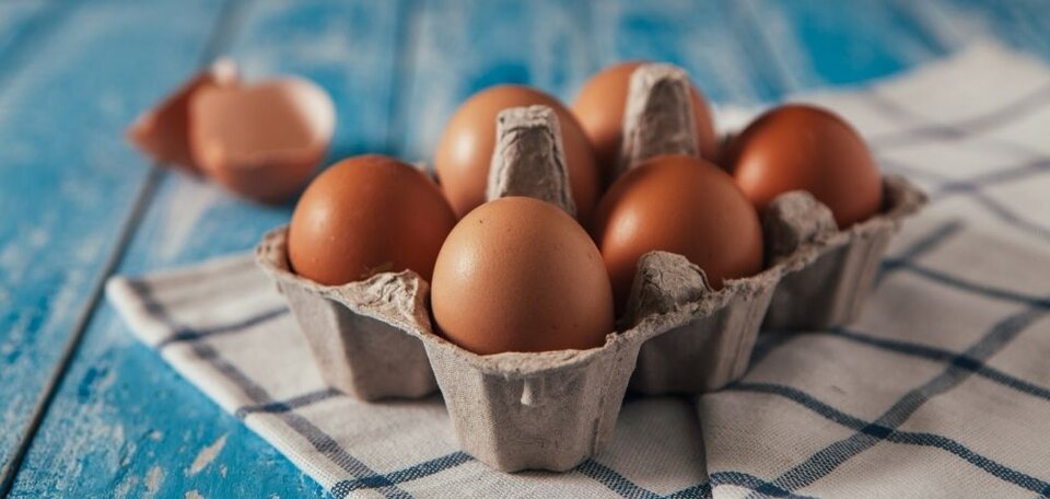 Quail Egg Cartons