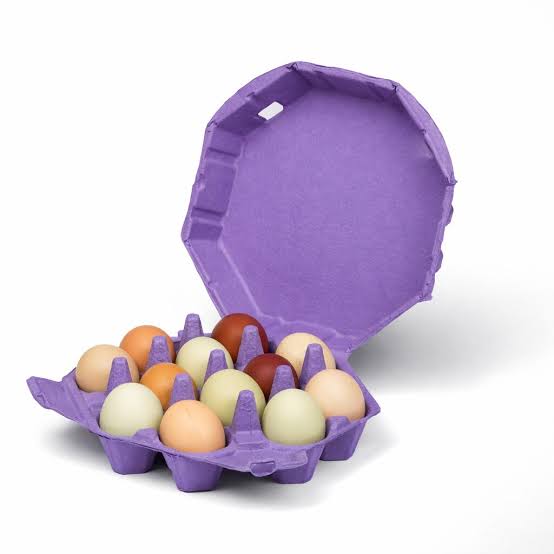 Octagon egg cartons in molded pulp with the eight sided lid open showing eggs inside