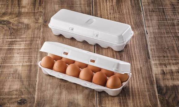 Egg Cartons Made Of