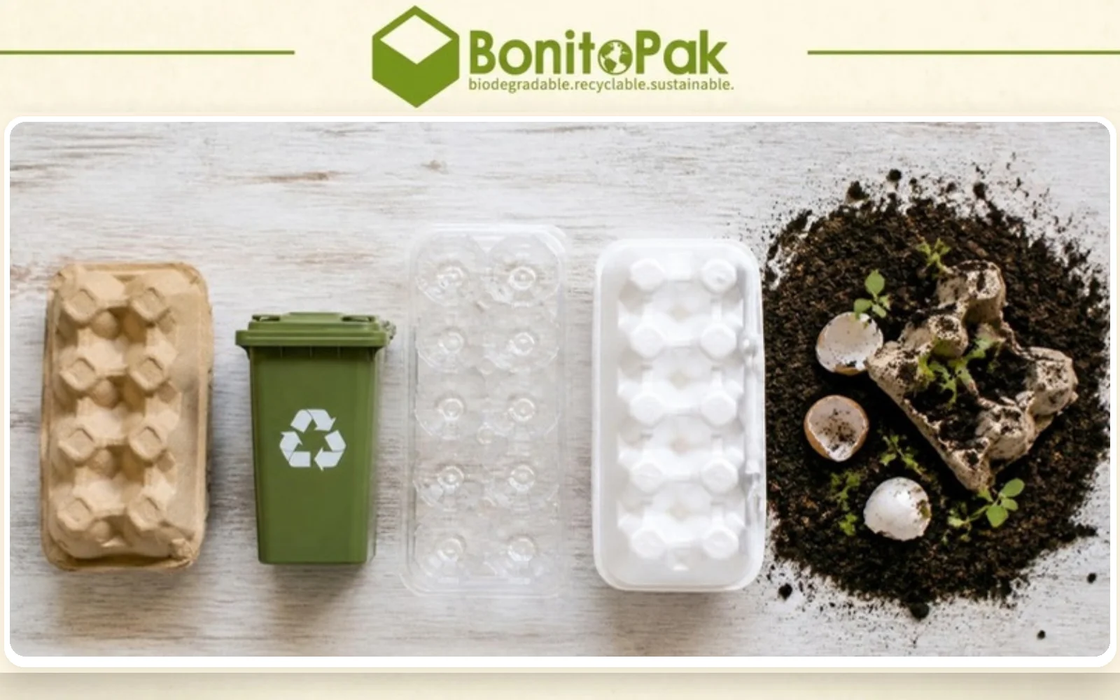 Are egg cartons recyclable or compostable: molded pulp, plastic and foam egg cartons by BonitoPak
