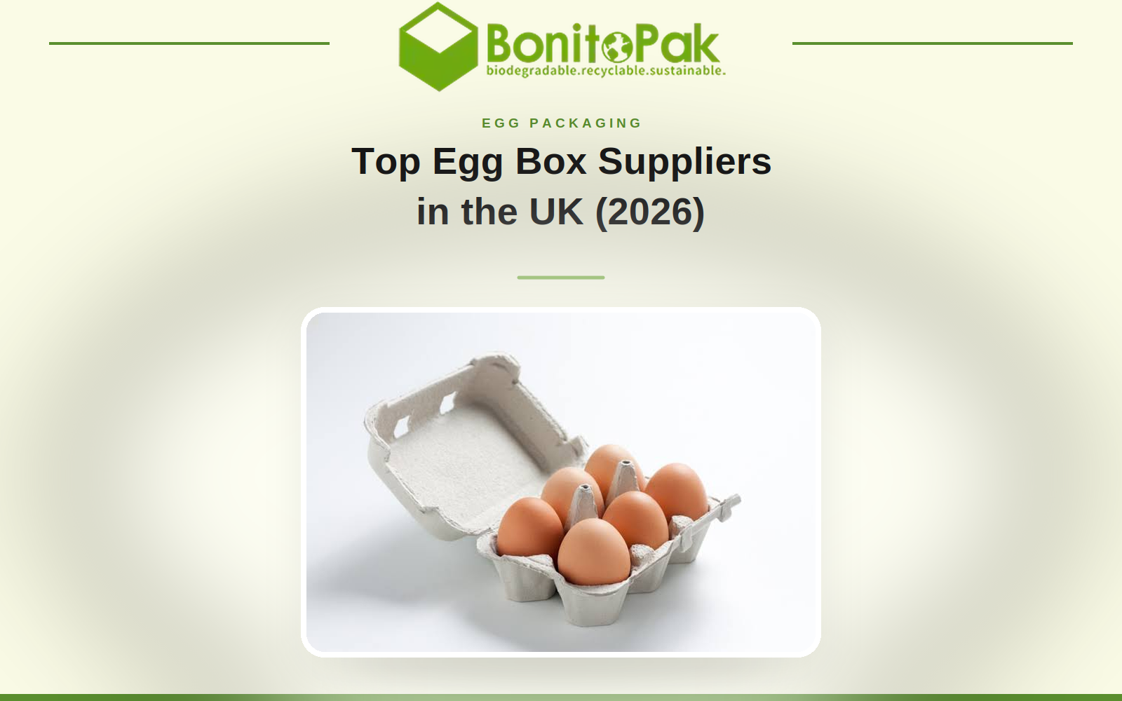 Top Egg Box Suppliers