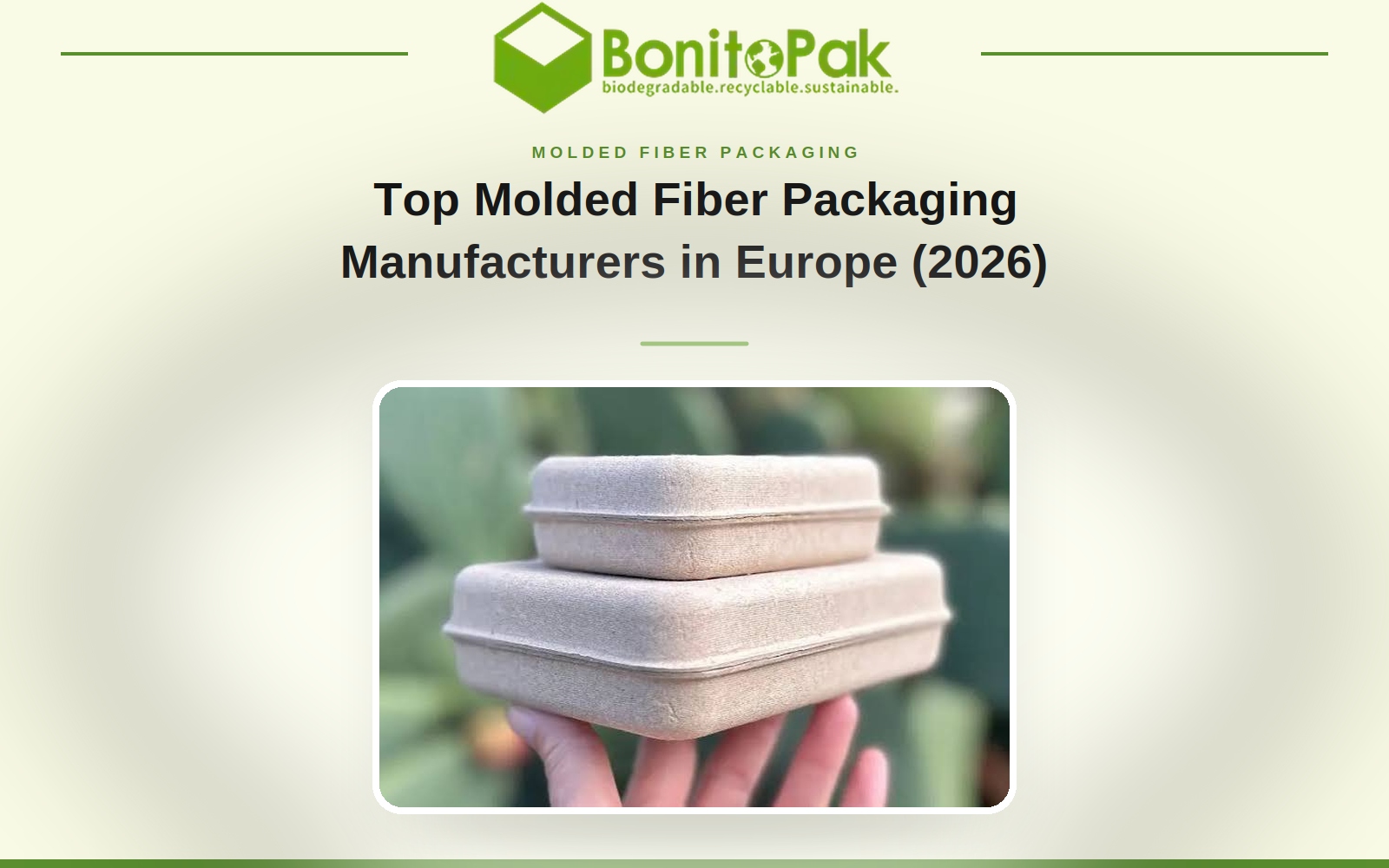 Top Molded Pulp Packaging Manufacturers